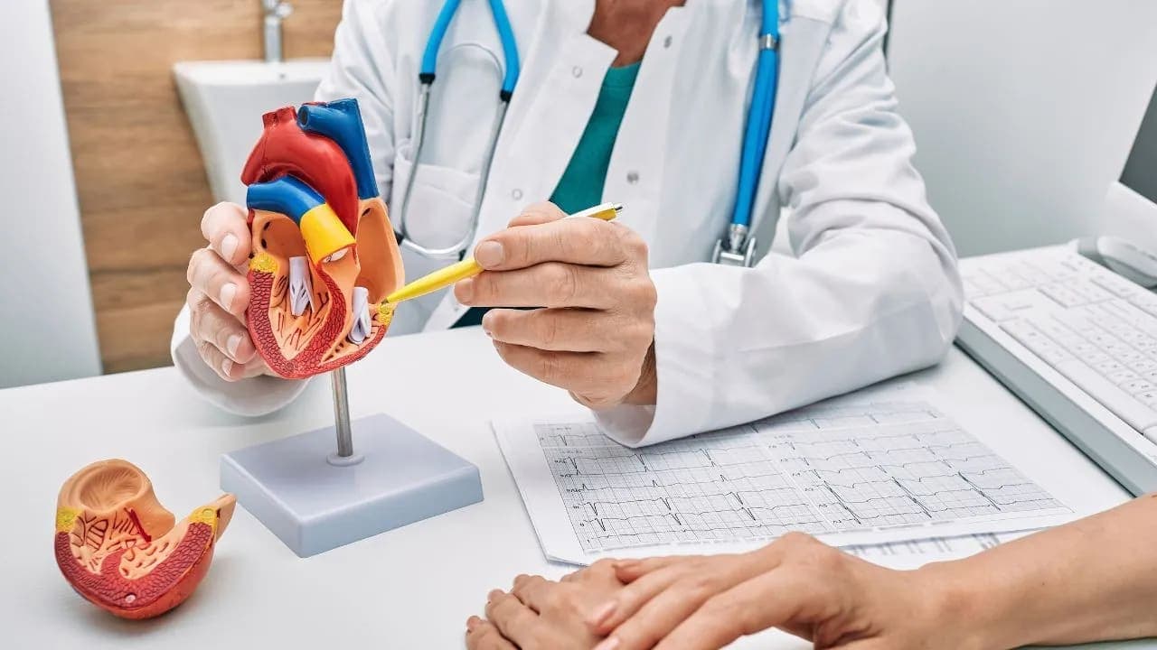 Heart Cardiology